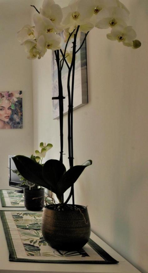 Cristina Home Centralissimo Citra , 008055-Lt-1538 ซานเรโม ภายนอก รูปภาพ